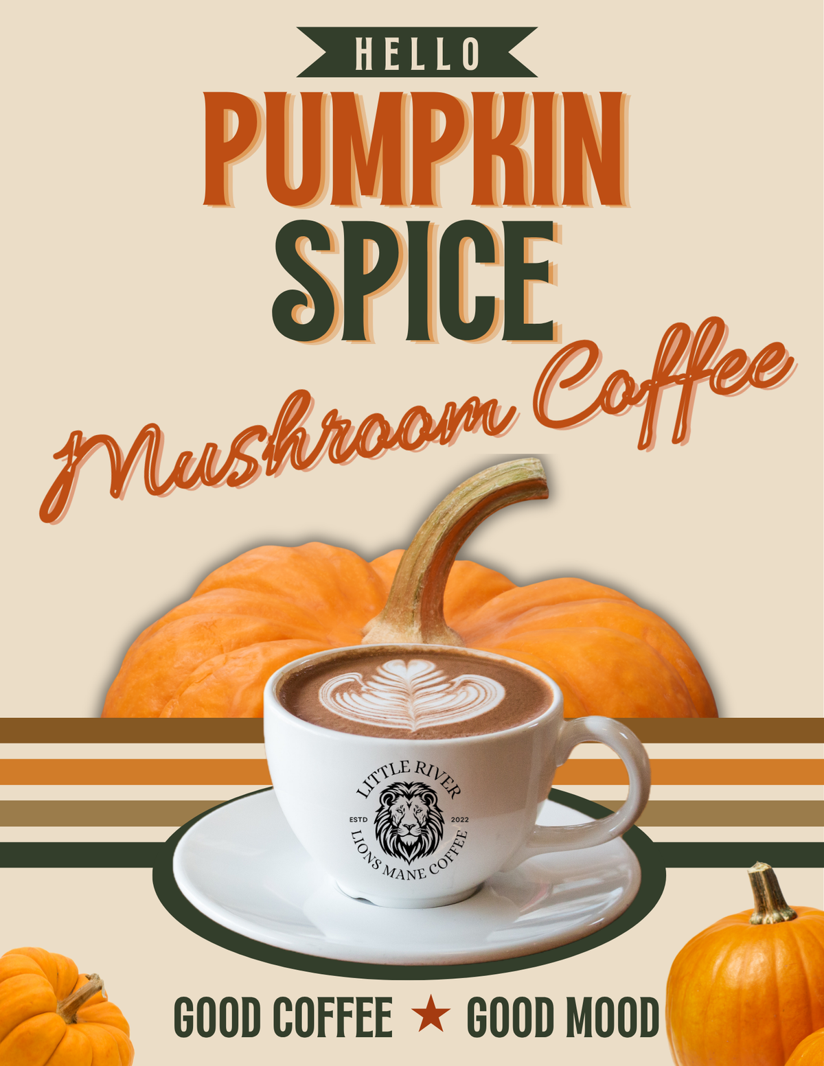 Pumpkin Spice Lion's Mane Mushroom Coffee