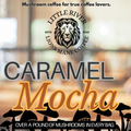 Salted Caramel Mocha Blend