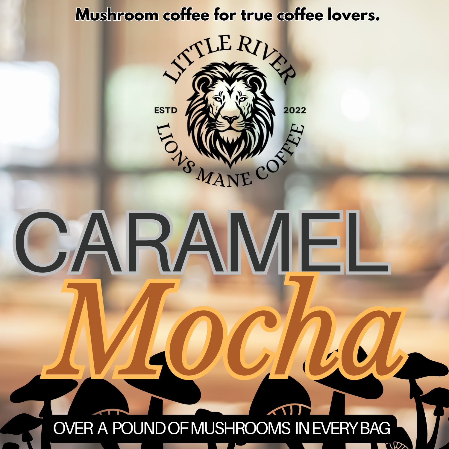 Salted Caramel Mocha Blend